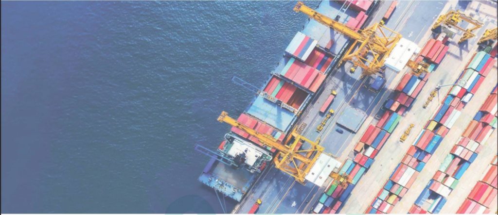 VIETNAM TRADE REMEDY NEWSLETTER No. 46/2025